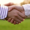feature-handshake.jpg